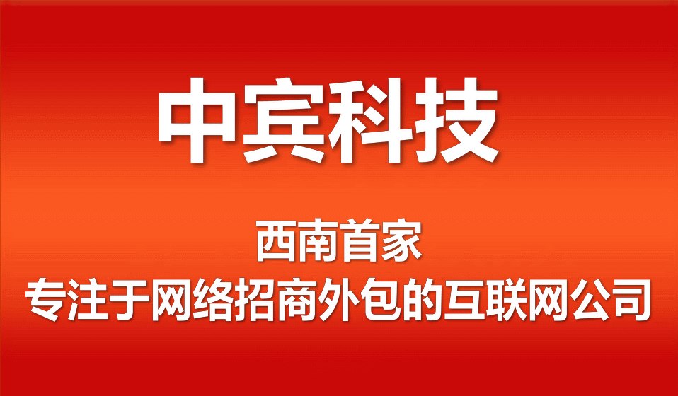 网络招商外包服务